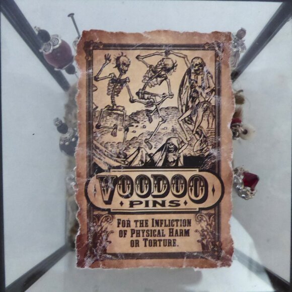 NEW VOODOO DOLL PINS IN GLASS DISPLAY BOX ODDITY PROP - Picture 2 of 14